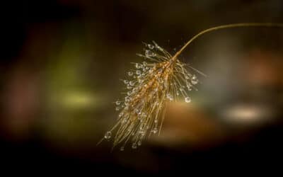 Tipps für Zeiten der Veränderung