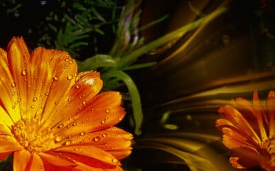 Das leise Keimen: Wenn der Frühling in dir noch flüstert