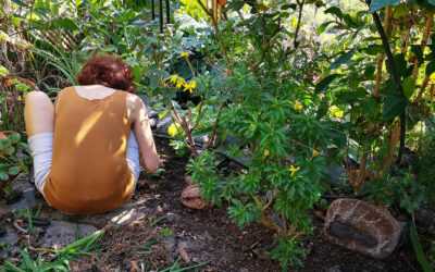 Glaubenssätze & Überzeugungen