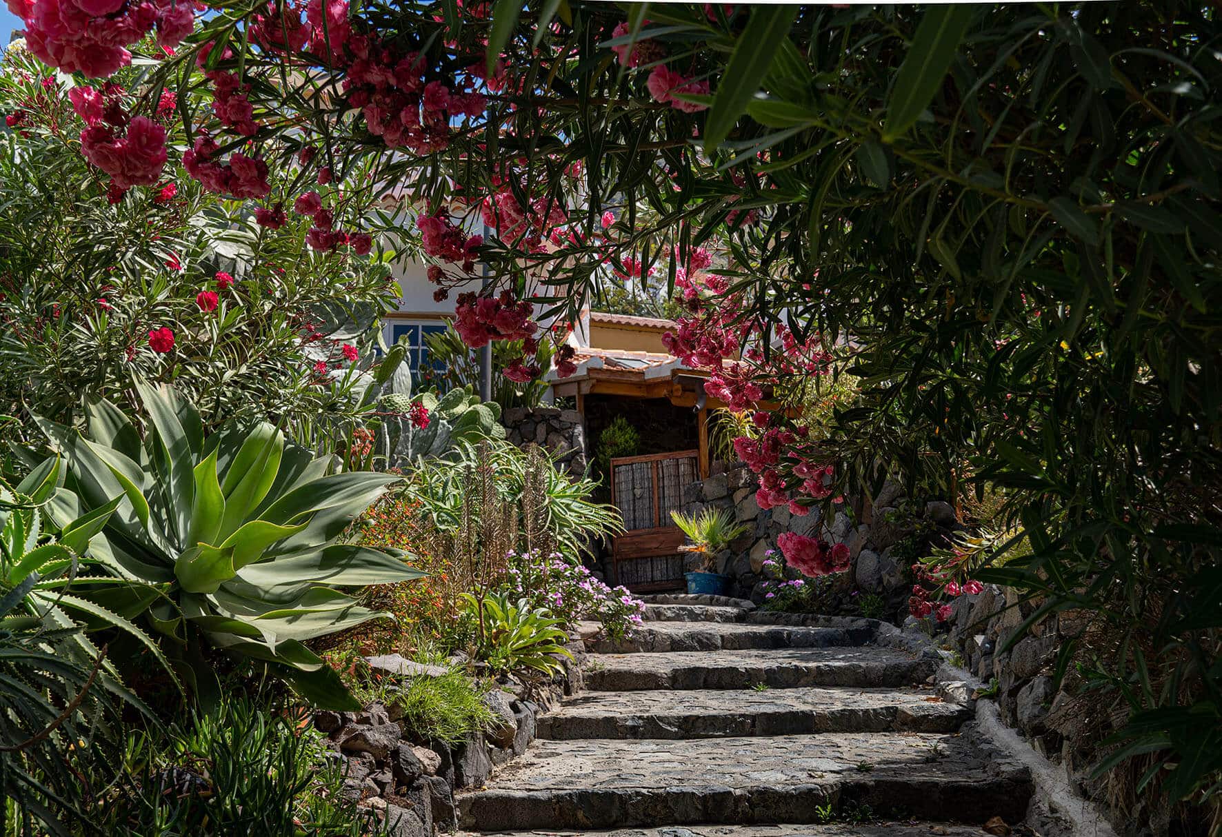 heilweg-stufenpfad-la-gomera-coaching-blog Stufenpfad Heilweg La Gomera - Coaching Schritt für Schritt Transformation Kanaren