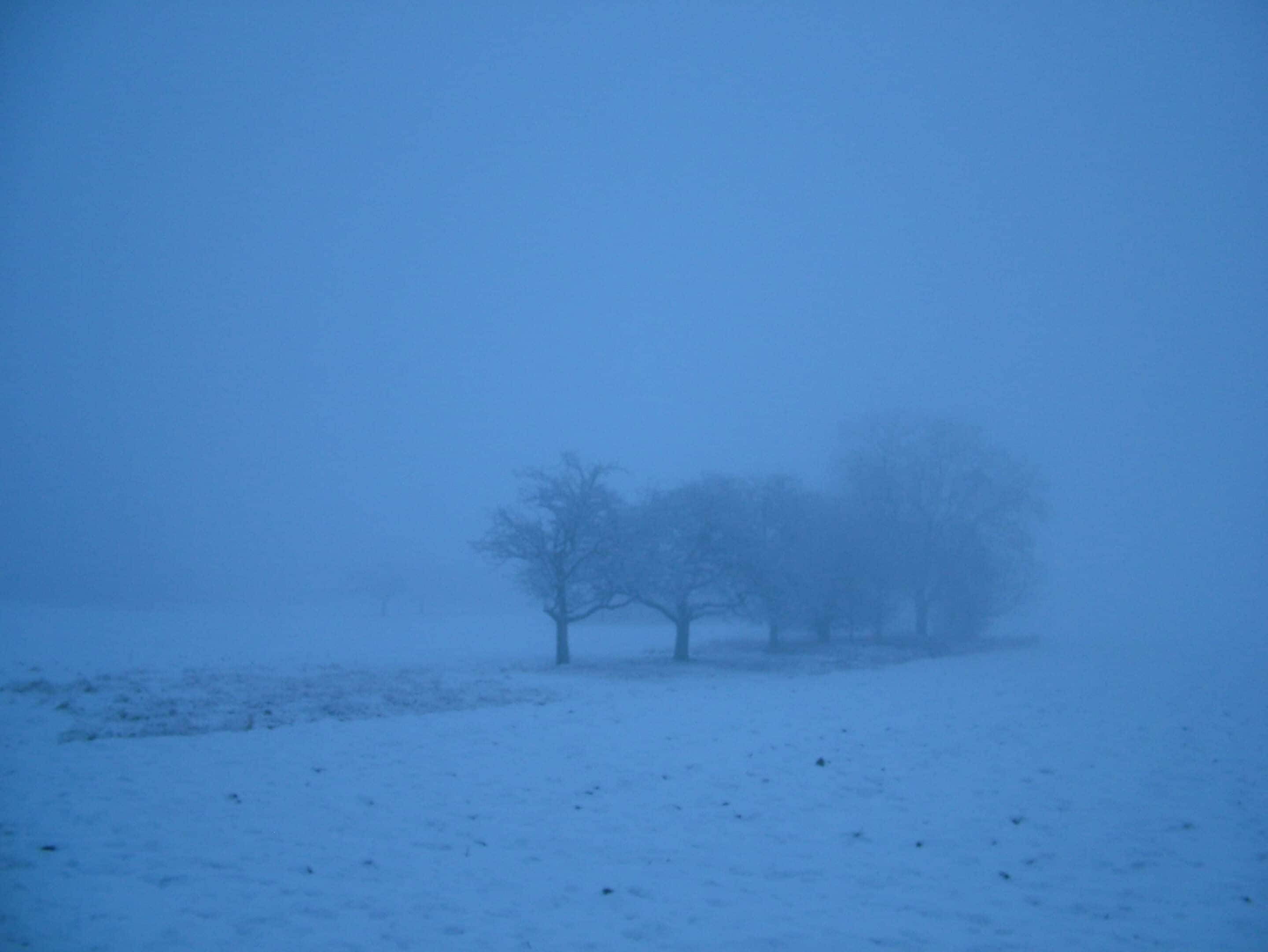nacht-zwischen-den-jahren Verschneite Winterlandschaft in der Dämmerung mit kahlen Bäumen im Nebel