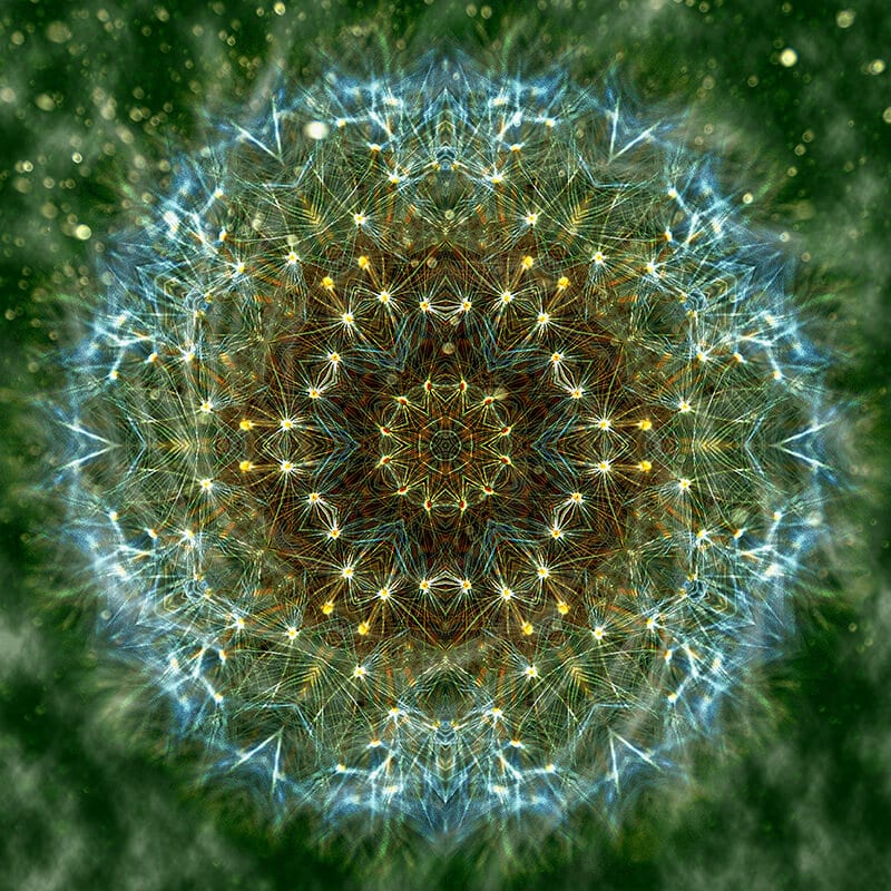 netzwerk-mandala-verbindungen-bilderpoesie-coaching-la-gomera Lebendes Mandala Knotenpunkte Verbindungen - Netzwerk Bilderpoesie La Gomera Coaching