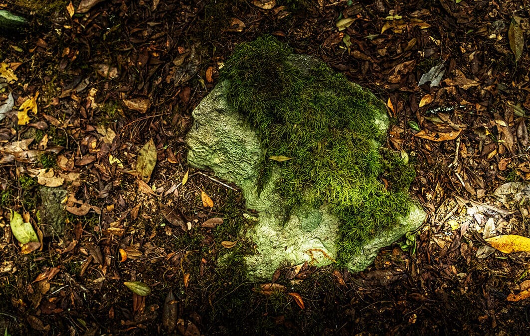 Neues Leben für alte Muster – Teil 1