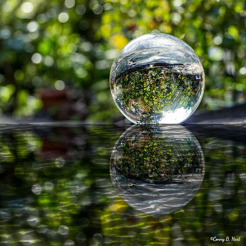 reflexion-glaskugel-spiegelung-bilderpoesie-coaching-la-gomera Glaskugel Natur Spiegelung - Reflexion Bilderpoesie Perspektive Coaching La Gomera